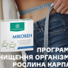 Программа Очищения организма Рослина Карпат